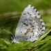 Spring Azure form Lucia