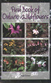 First Book of Ontario Wildflowers First Book of Ontario Wildflowers