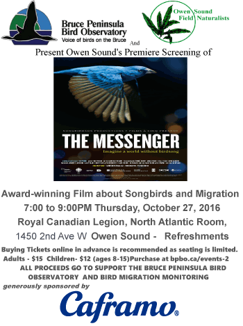 messenger-poster