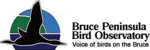 bpbologo