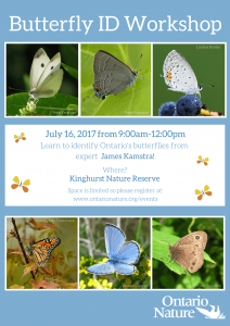 Butterfly ID Workshop Poster