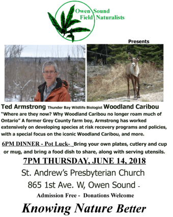 OSFN_June_14_TedArmstrong