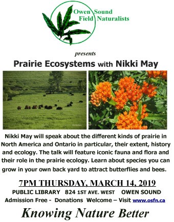 OSFN_2019_03_14_Nikki_May