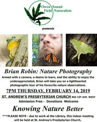 OSFN_Poster_2019_02_14