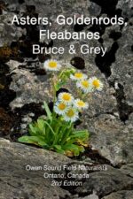 Asters, Goldenrods, Fleabanes Bruce & Grey